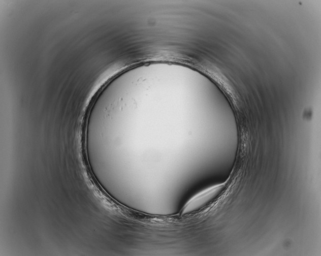 X0000099231138200805151624