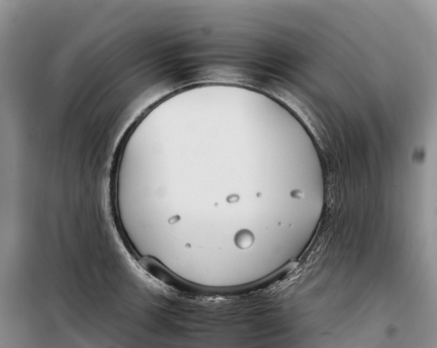 X0000099231139200805151624