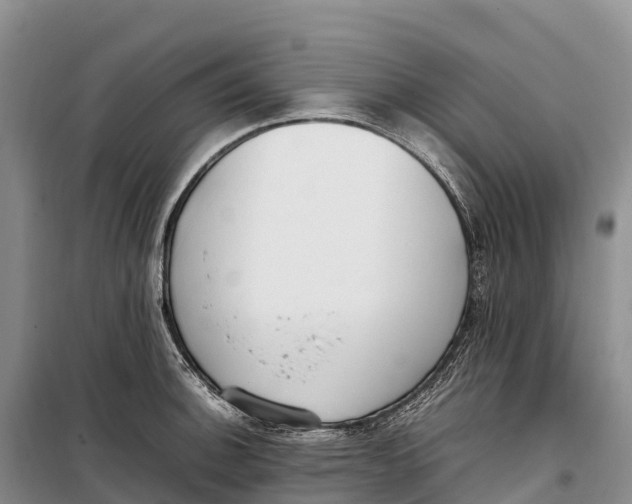 X0000099231140200805151624