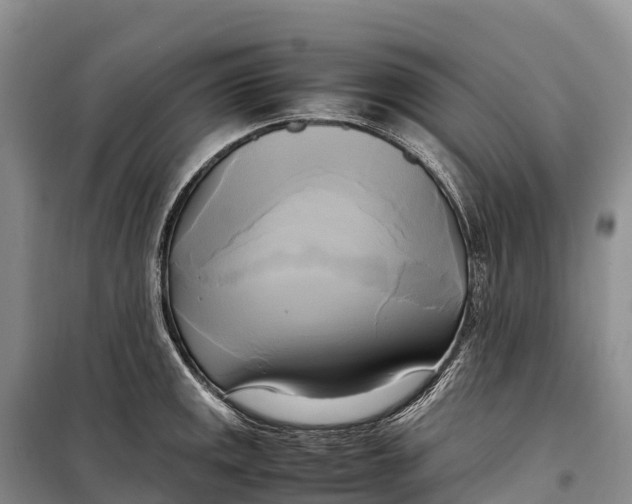 X0000099231141200805151624