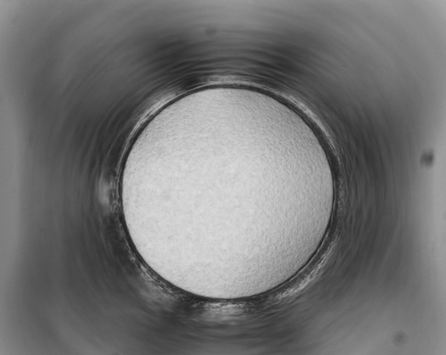 X0000099231145200805151624