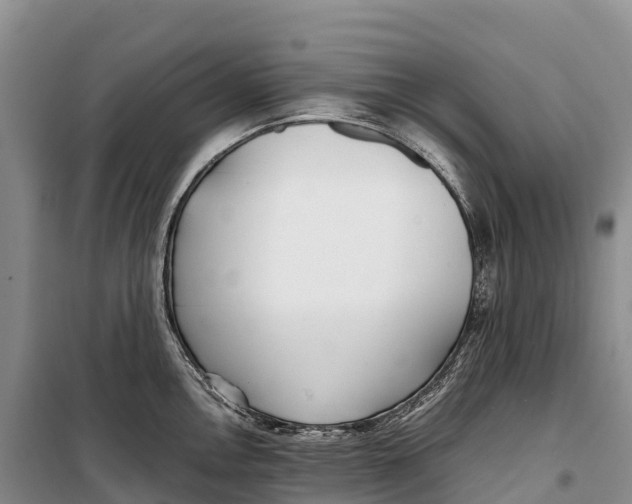 X0000099231146200805151624