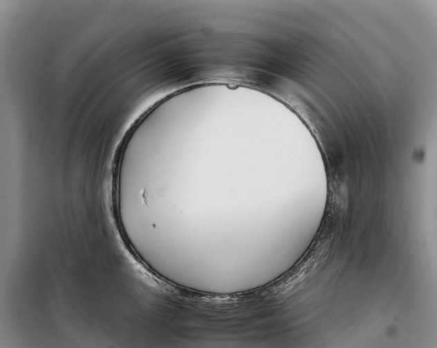 X0000099231147200805151624