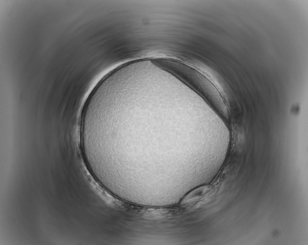 X0000099231148200805151624