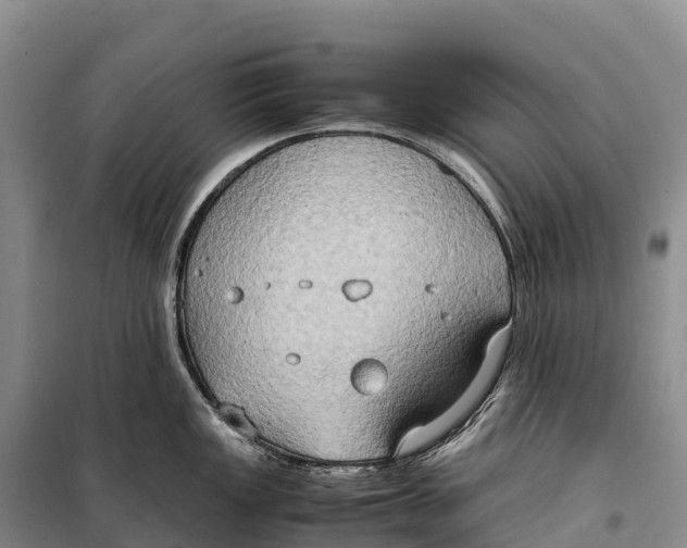 X0000099231149200805151624