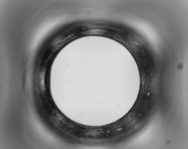 X0000099231150200805151624