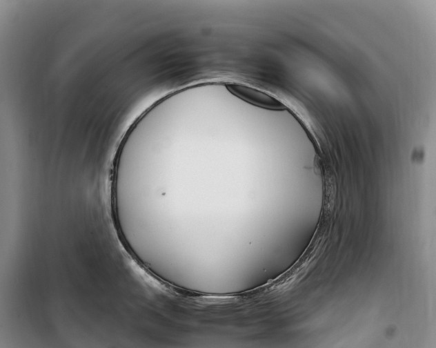 X0000099231151200805151624