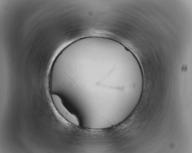 X0000099231152200805151624