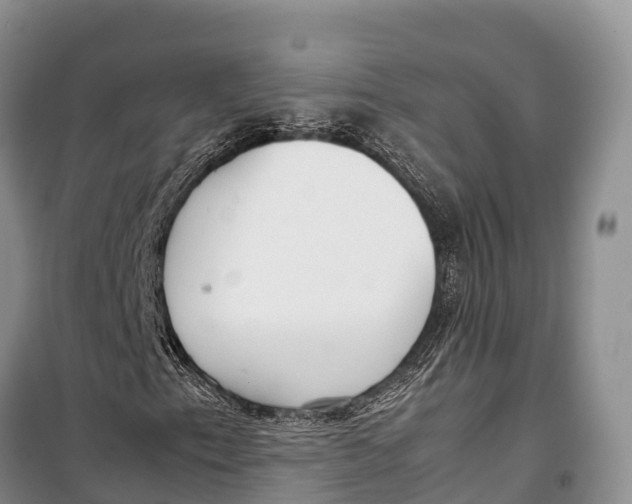 X0000099231153200805151623