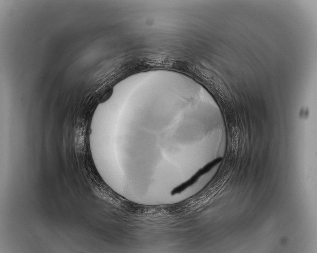 X0000099231154200805151623