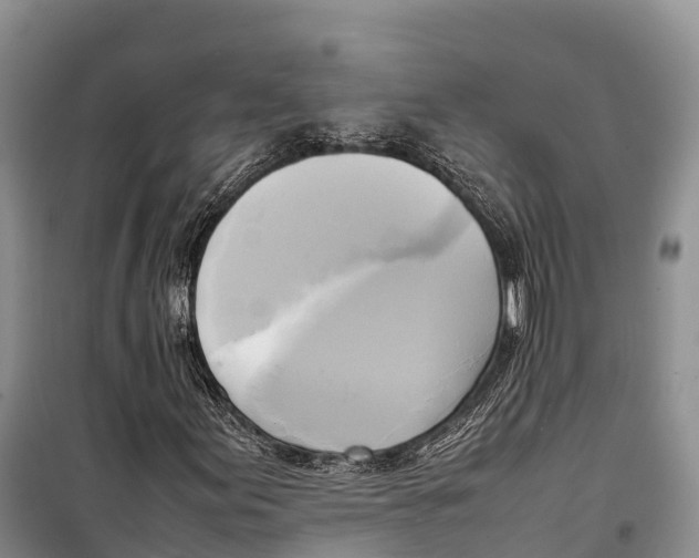 X0000099231155200805151623