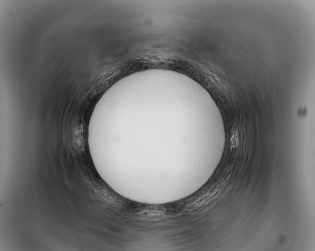 X0000099231156200805151623