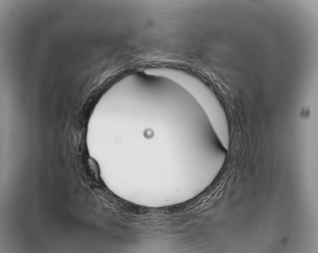 X0000099231157200805151623