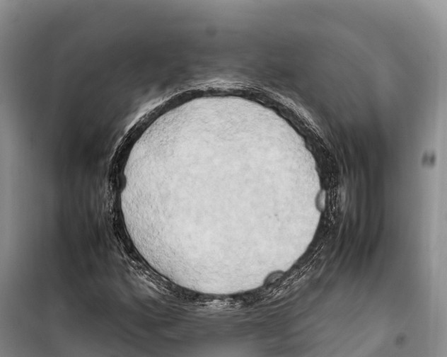 X0000099231160200805151623