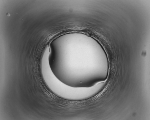 X0000099231161200805151623