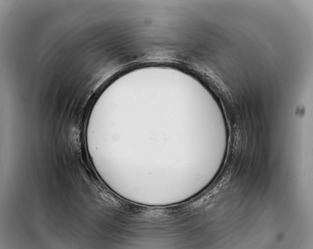 X0000099231162200805151623