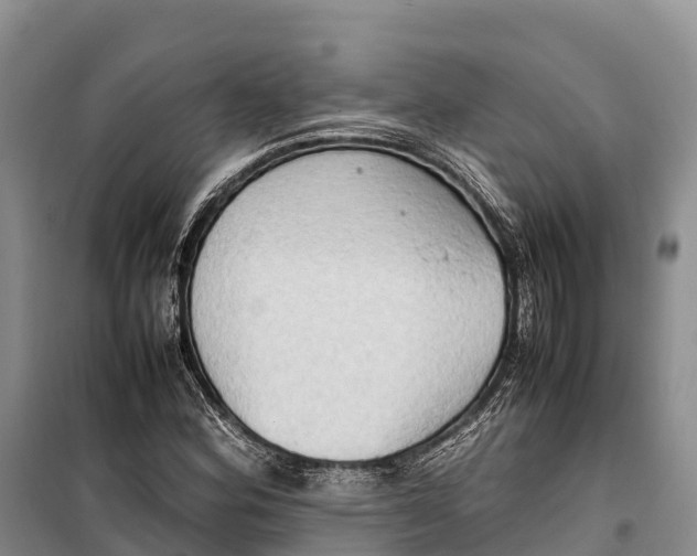 X0000099231164200805151623