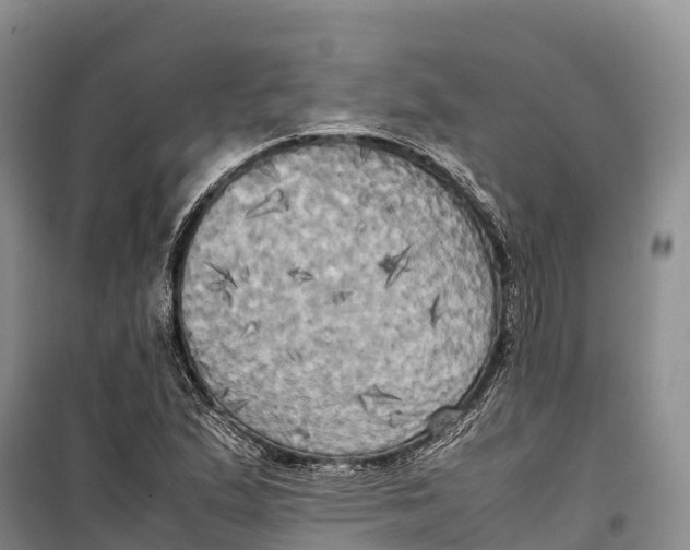 X0000099231167200805151623