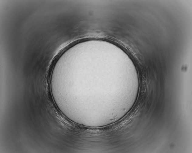 X0000099231168200805151623