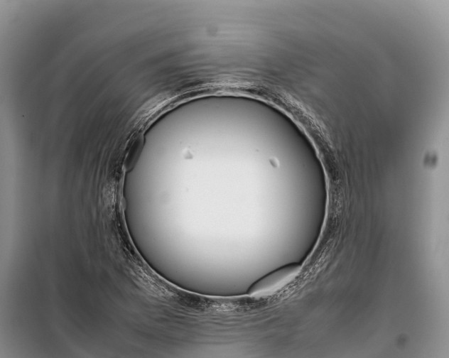 X0000099231169200805151623