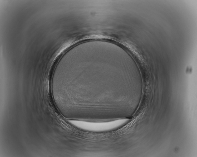 X0000099231173200805151623