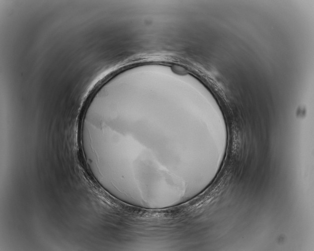 X0000099231174200805151623