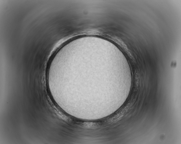 X0000099231176200805151623