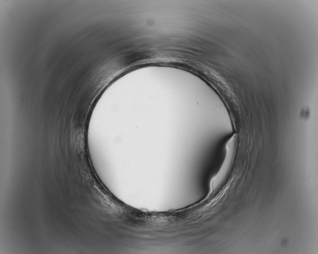 X0000099231177200805151623