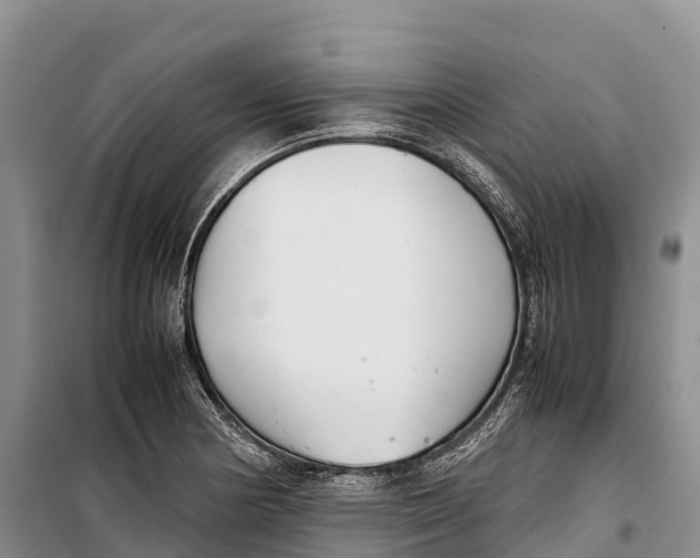 X0000099231178200805151623