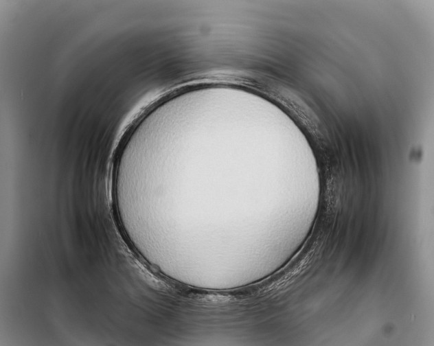 X0000099231180200805151623