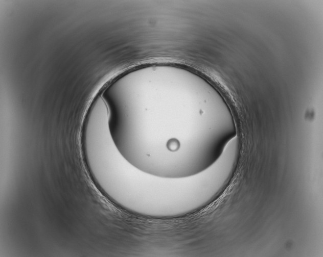 X0000099231181200805151623