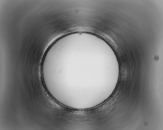 X0000099231182200805151623