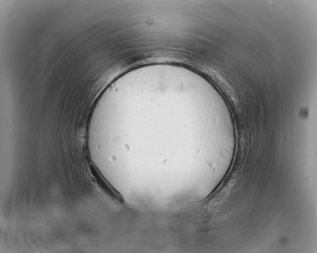 X0000099231185200805151622