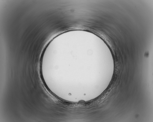 X0000099231187200805151622