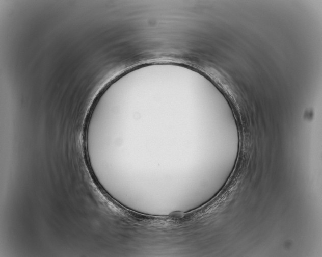 X0000099231189200805151622