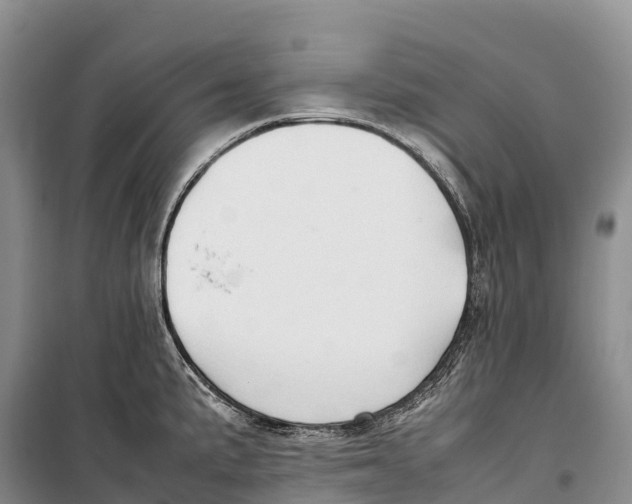 X0000099231191200805151622