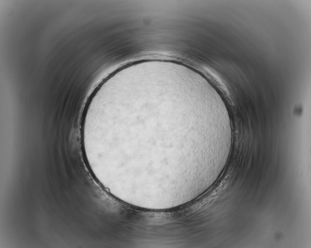 X0000099231192200805151622