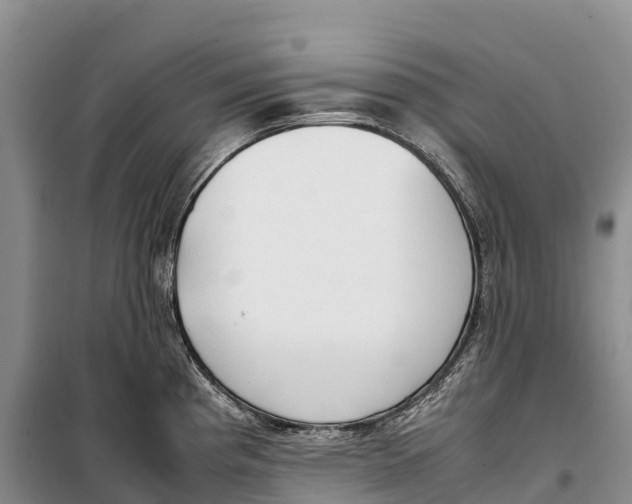 X0000099231193200805151622