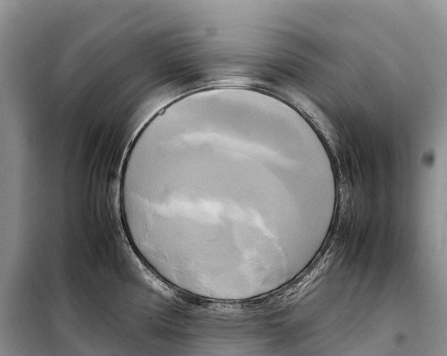 X0000099231194200805151622