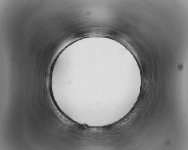 X0000099231195200805151622