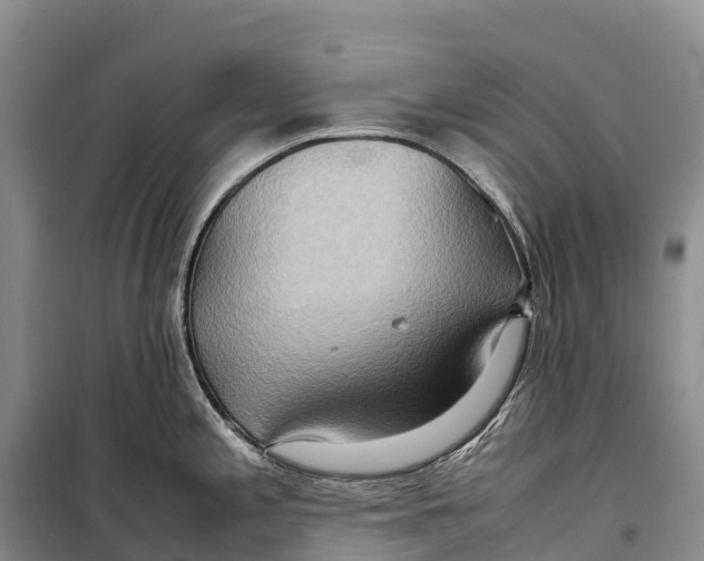 X0000099231197200805151622