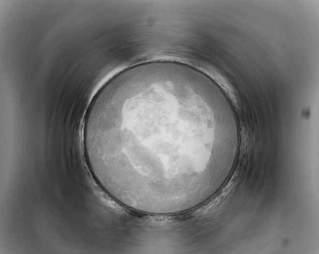 X0000099231198200805151622