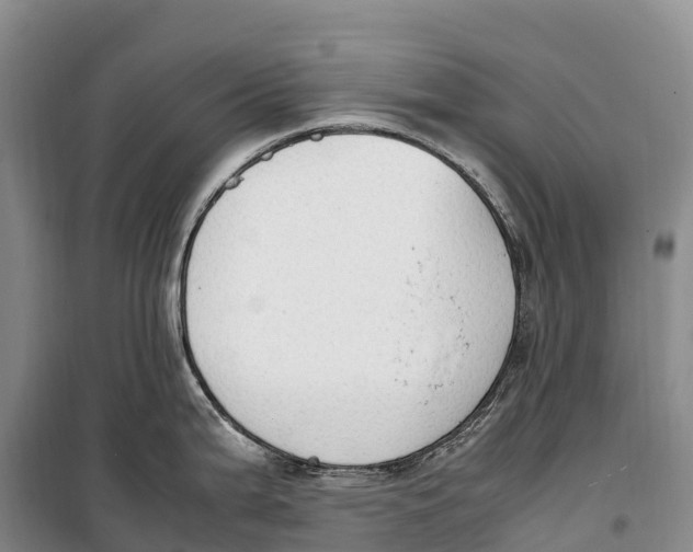 X0000099231199200805151622