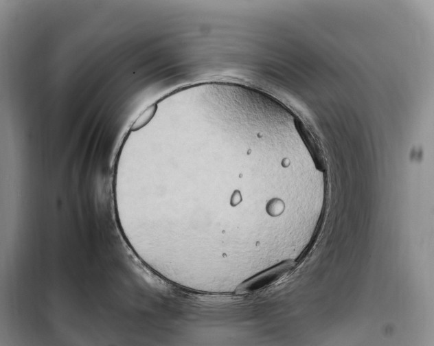 X0000099231200200805151622