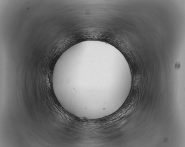 X0000099231202200805151622