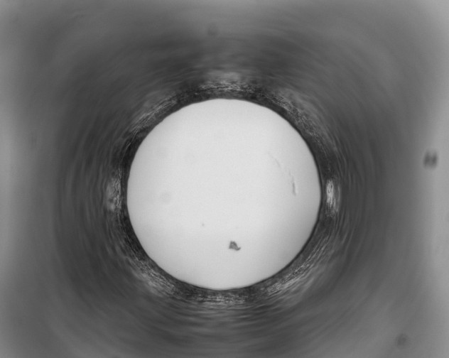 X0000099231203200805151622