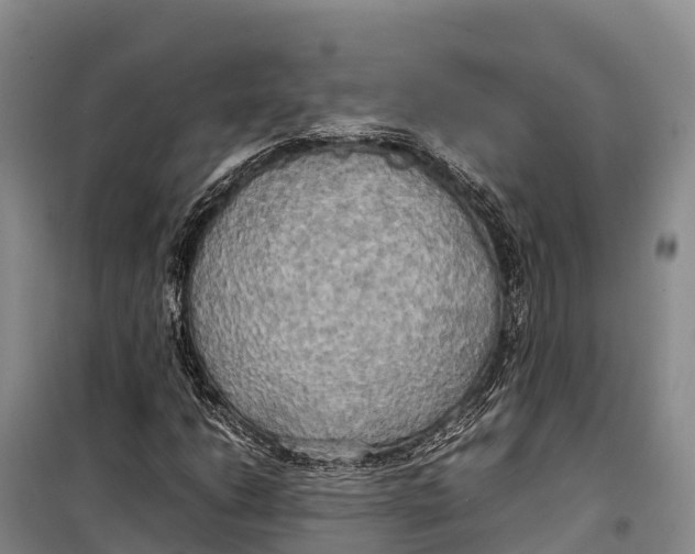 X0000099231206200805151622