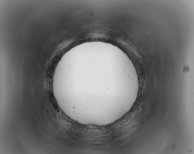 X0000099231207200805151622