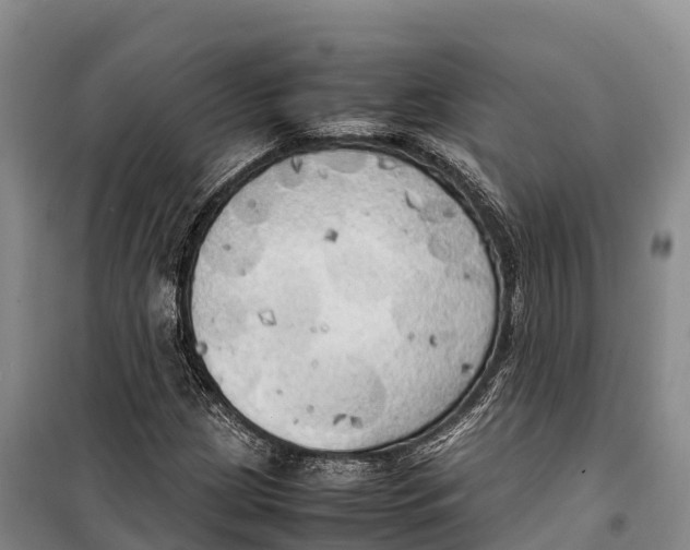 X0000099231209200805151622