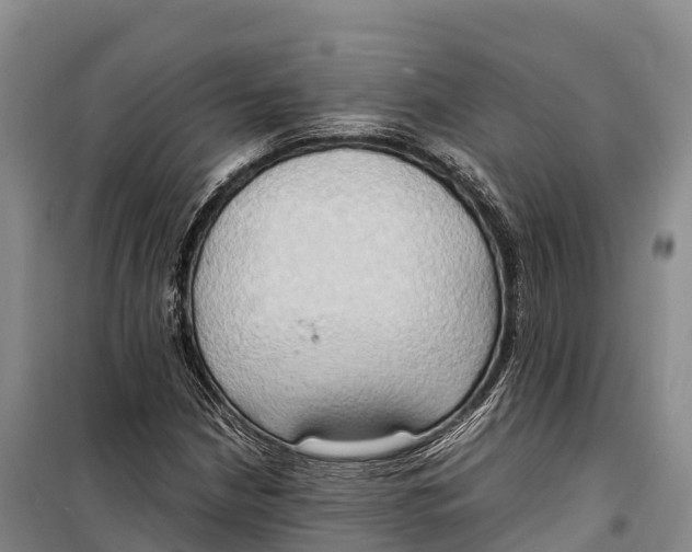 X0000099231210200805151622